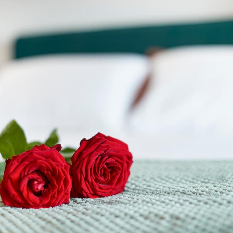 Eco Chic - Appartamento con 1 Camera da Letto - 13