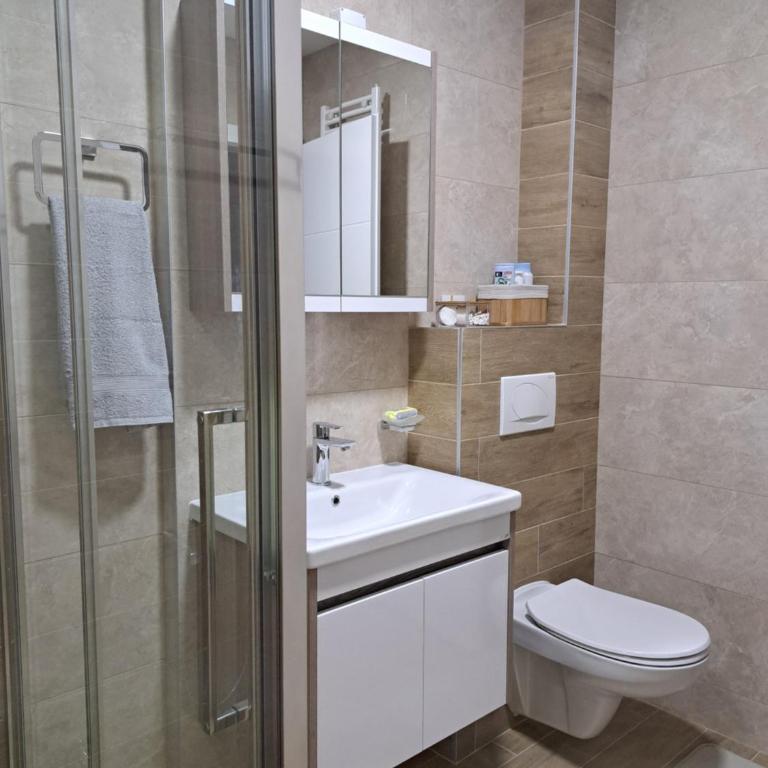 Apartman NEDA - Apartman sa 1 Spavaćom Sobom - 4