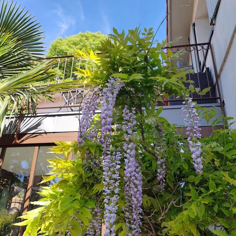 Appart climatisé Terrasse Vue sur Lyon et les quais de Saône - Apartment mit 2 Schlafzimmern - 1