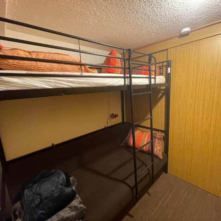 Studio Cabine Chamrousse - Studio with Sofa Bed - 9