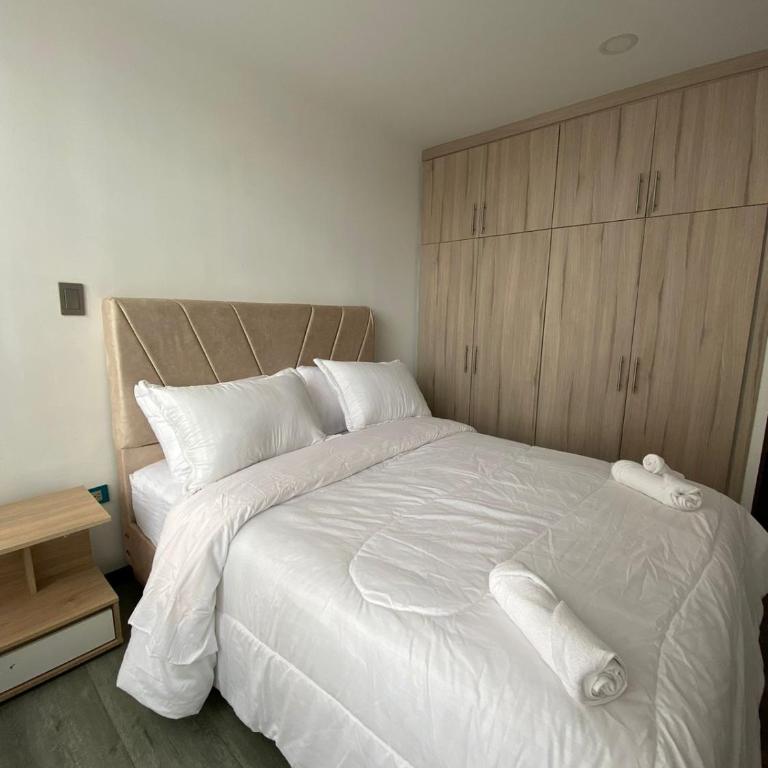 Hermoso apartamento central nuevo - Apartamento de 1 dormitorio - 8
