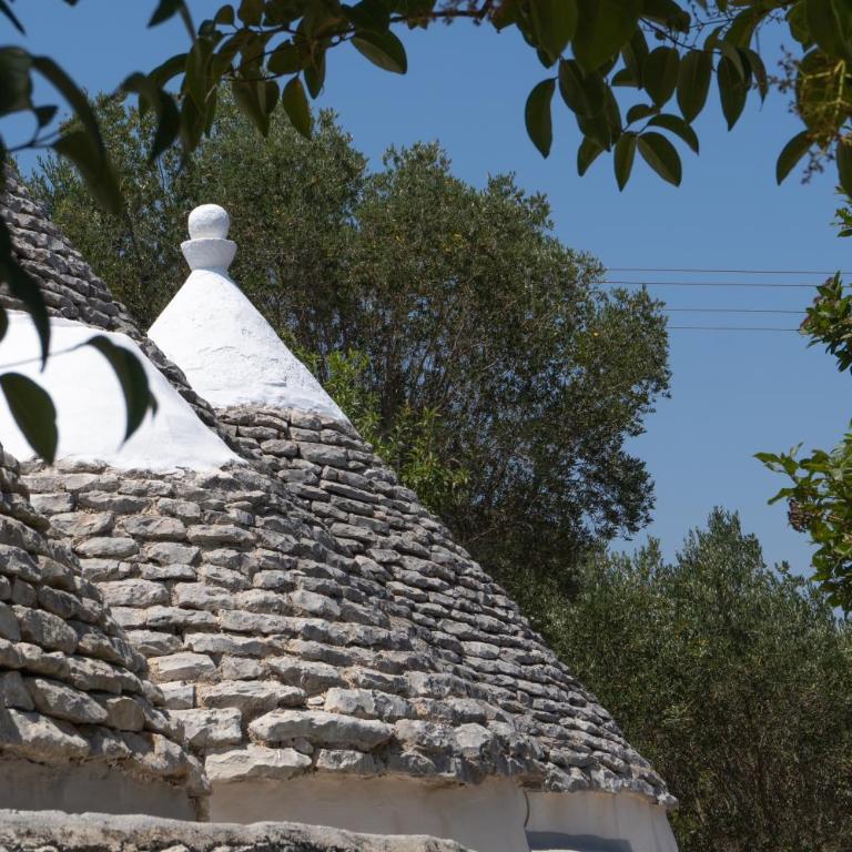 Domus Messapia Trullo con Piscina Privata tra gli Ulivi - Casa Vacanze - 27