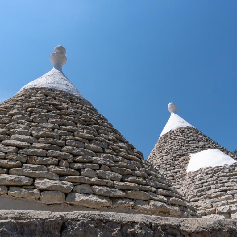 Domus Messapia Trullo con Piscina Privata tra gli Ulivi - Casa Vacanze - 30