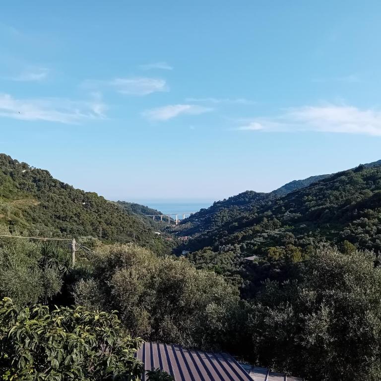 La casetta dei 4 gatti - Appartamento con 1 Camera da Letto - 1