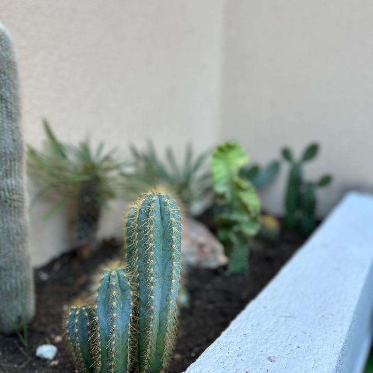 Ático De Diseño en Aguilas - Apartamento de 2 dormitorios - 12