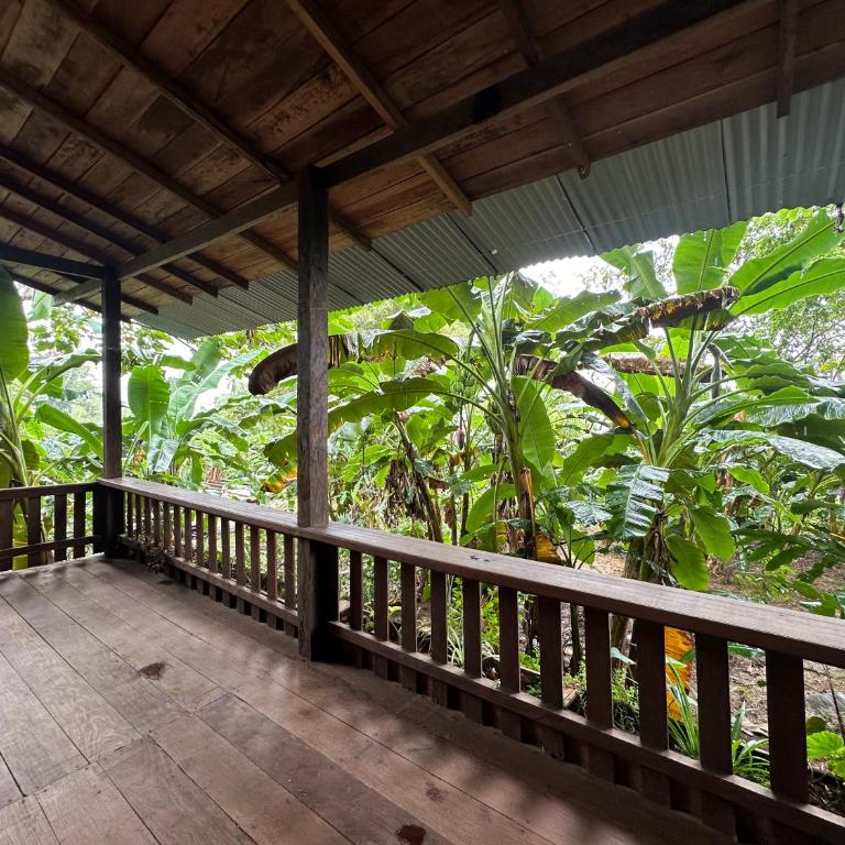 Ecohotel Iraka Cabañas Privadas en Selva y Playa - Casa con 1 dormitorio - 14