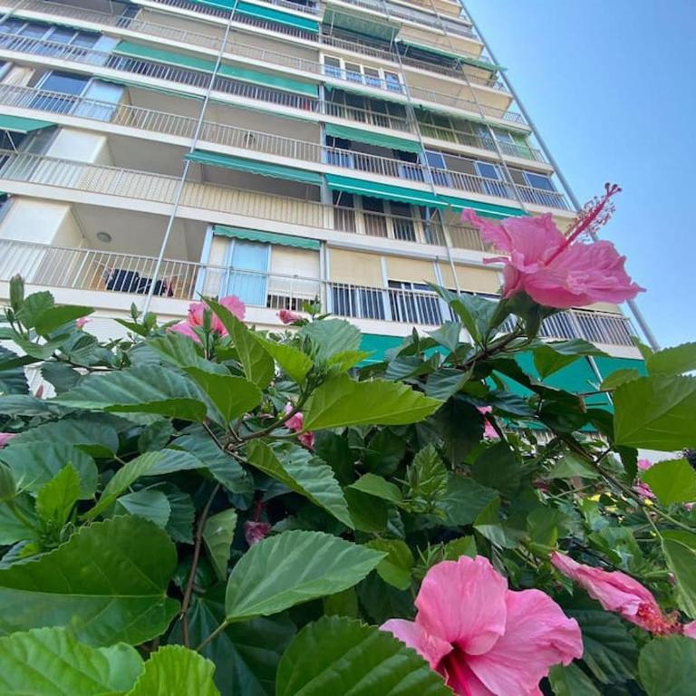 Aitana Playa de San Juan piscina, Aire Ac, Parking - Appartement 2 Chambres - 16