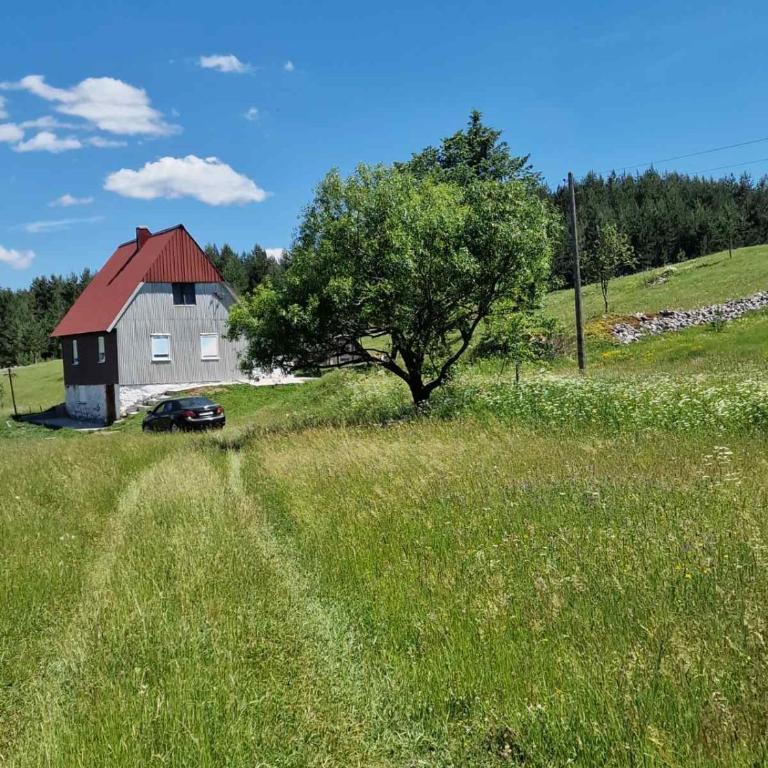 Konak Vrela Žabljak - Two-Bedroom Apartment - 6