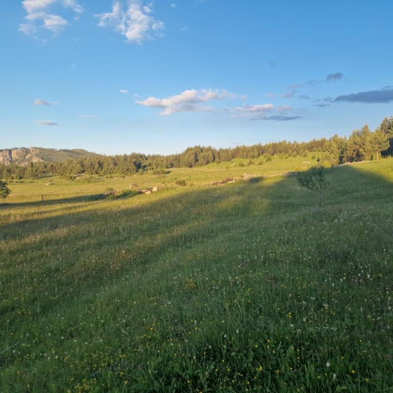 Konak Vrela Žabljak - Two-Bedroom Apartment - 14