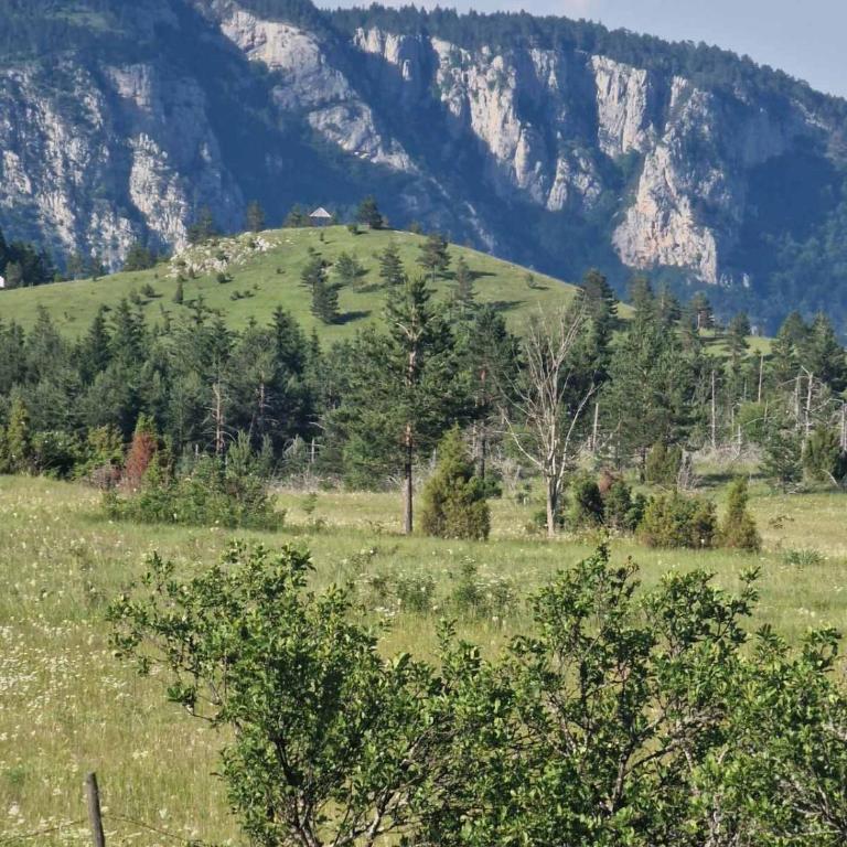 Konak Vrela Žabljak - Two-Bedroom Apartment - 18