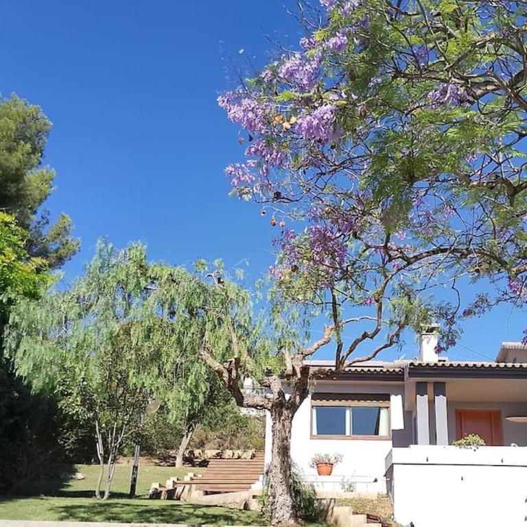 Vista Hermosa, vistas al mar y a Peñiscola - Casa de 6 dormitorios - 60