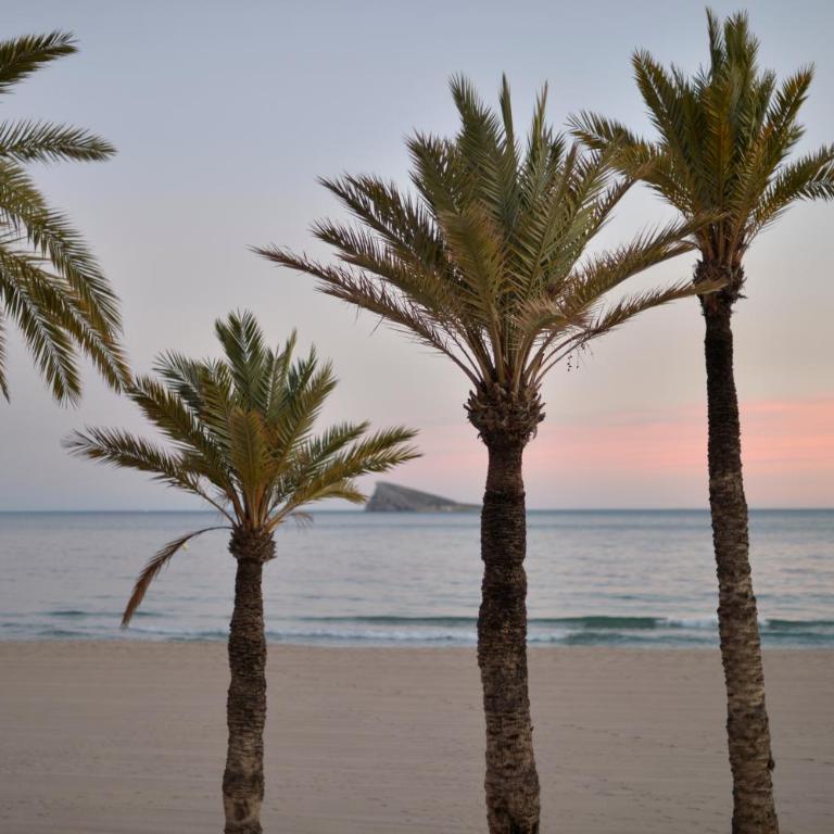 Apartment Sunset Cliffs Benidorm - Apartamento de 2 dormitorios con vistas a la piscina - 23