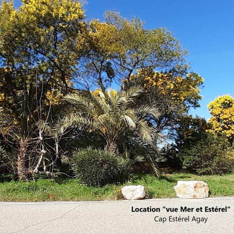 "Location Vue MER et ESTEREL", Cap Estérel Agay-Saint Raphaël, T2, piscines, parking, wifi - Apartment mit 1 Schlafzimmer - 23