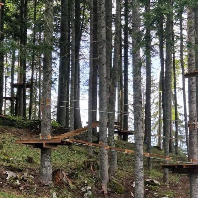 Koliba Ravna planina - Gradska Kuća sa 2 Spavaće Sobe - 31