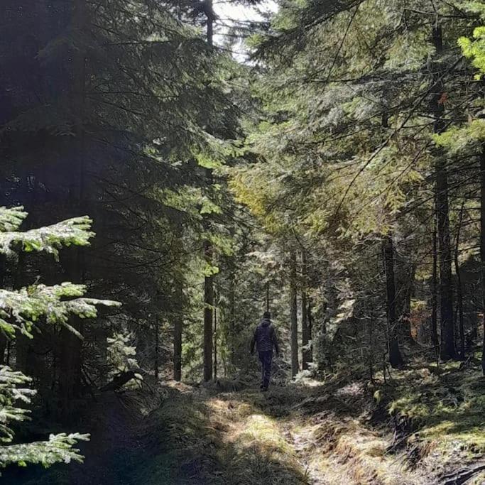Koliba Ravna planina - Gradska Kuća sa 2 Spavaće Sobe - 26
