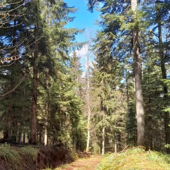 Koliba Ravna planina - Gradska Kuća sa 2 Spavaće Sobe - 25