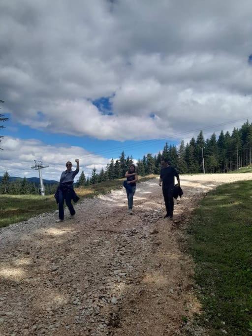 Koliba Ravna planina - Gradska Kuća sa 2 Spavaće Sobe - 13