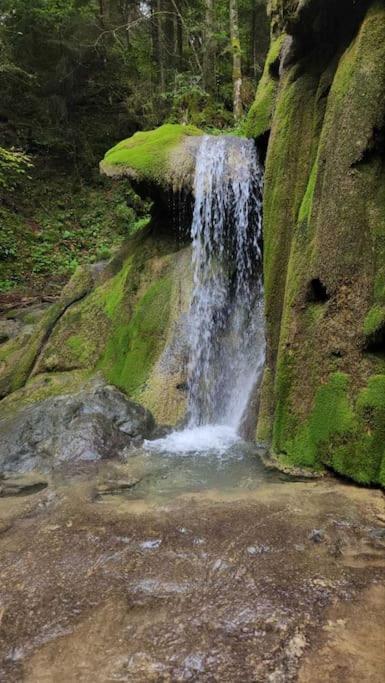 Koliba Ravna planina - Gradska Kuća sa 2 Spavaće Sobe - 8