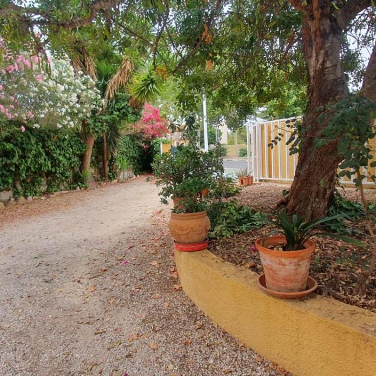 confortable villa at only 100 meter from the beach, supermarkets and the restaurants - Villa mit 3 Schlafzimmern - 12