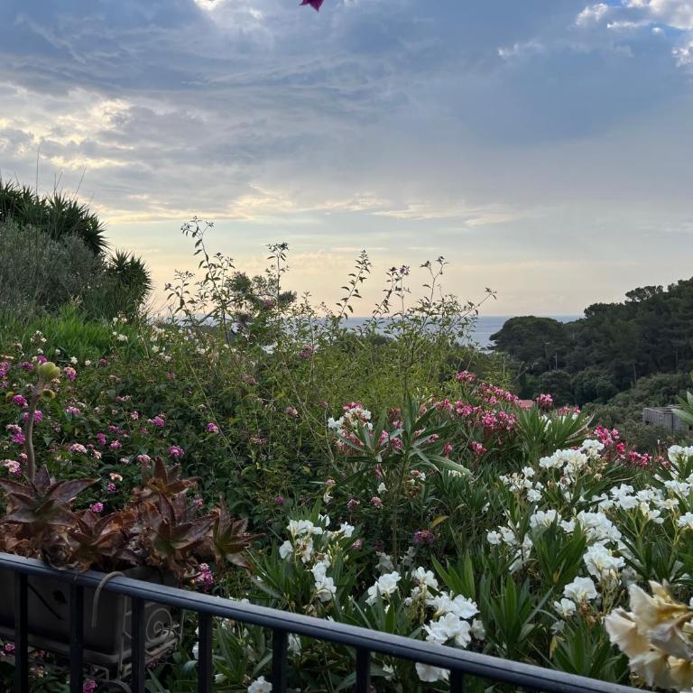 Pleine vue mer - Villa - 26