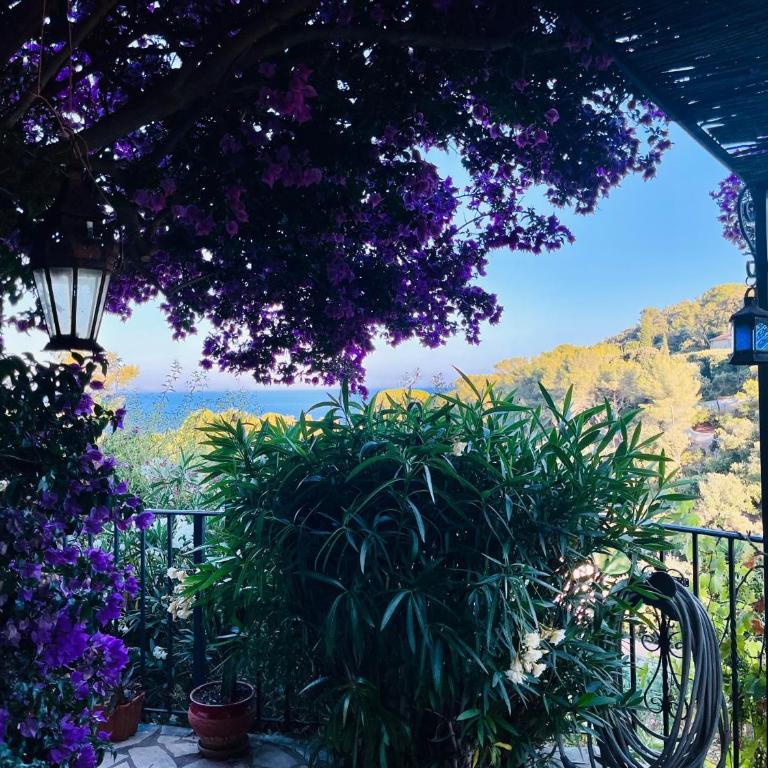 Pleine vue mer - Villa - 77