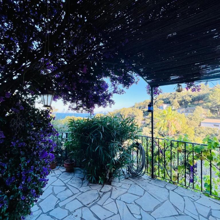 Pleine vue mer - Villa - 88