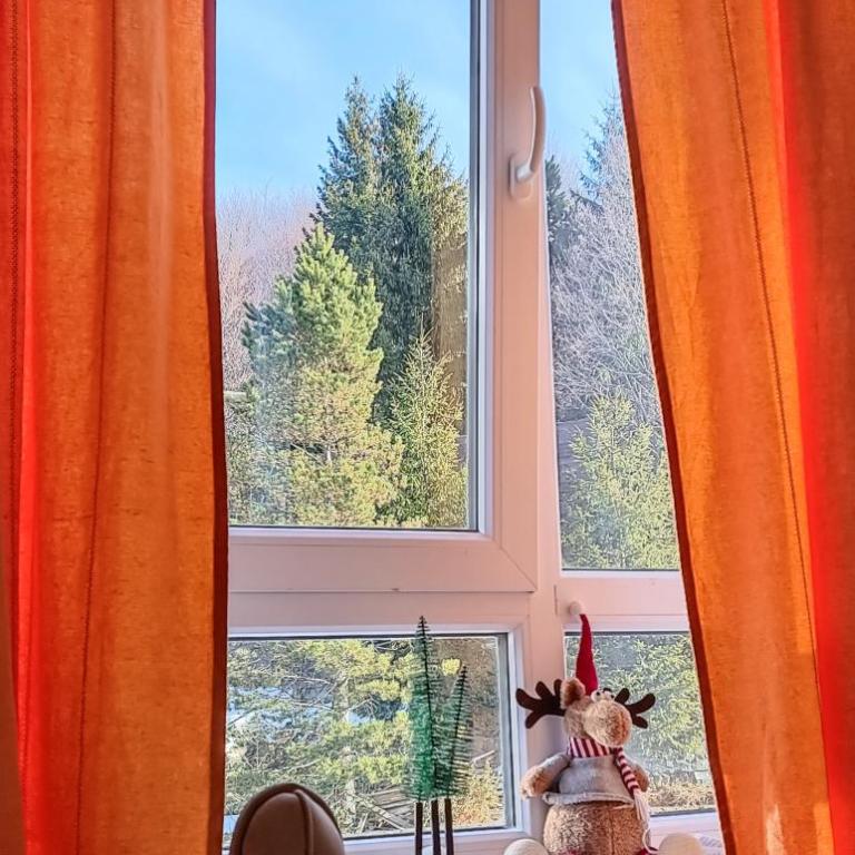 Apartman Paunovi Čardaci sa garažnim mestom - Apartman sa 1 Spavaćom Sobom - 26