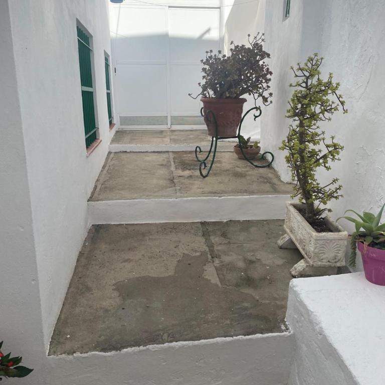 CASA BALUARTE - Apartamento de 1 dormitorio - 4