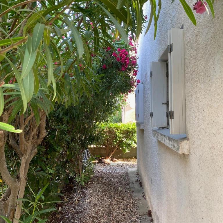 Maison 300 m de la plage avec un bel extérieur - Maison 3 Chambres - 14