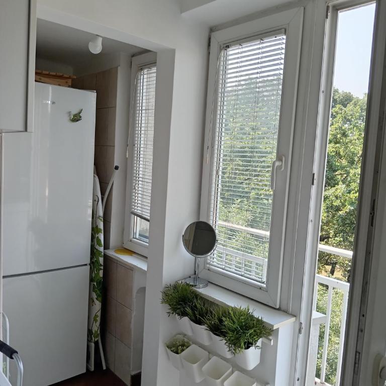 Tamara New Belgrade - Apartman sa Terasom - 6