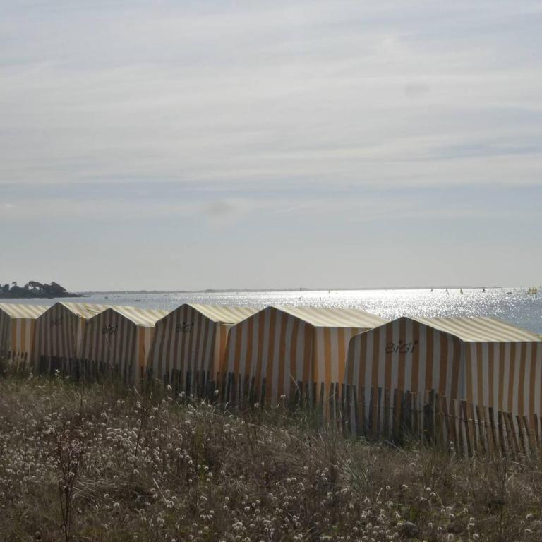 Carnac: Apt 2 pièces avec terrasse, chien admis, parking, proche plage - FR-1-377-33 - Appartement (4 Adultes) - 12