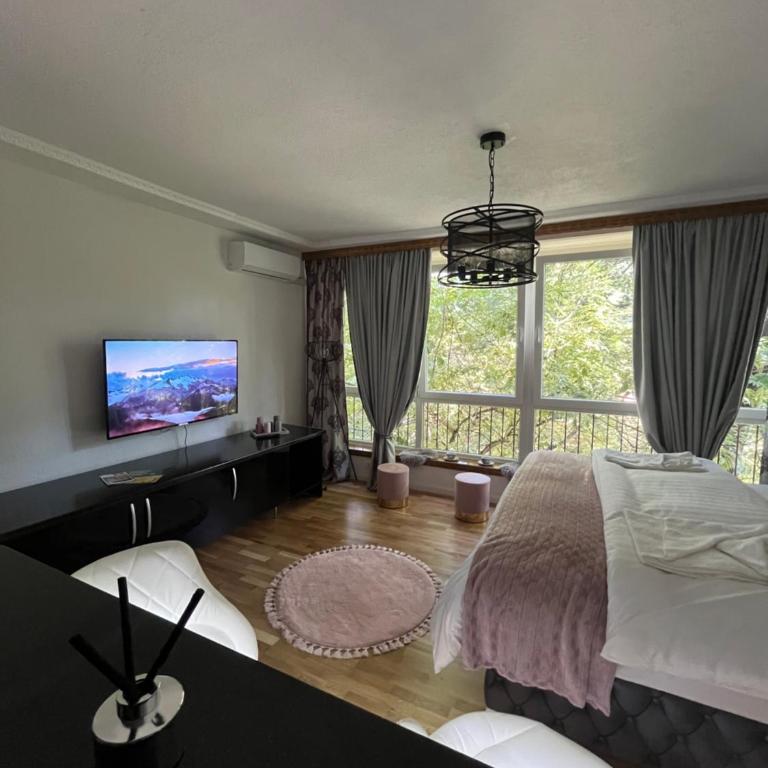Central Botanic Apartment - Apartman sa 1 Spavaćom Sobom - 5