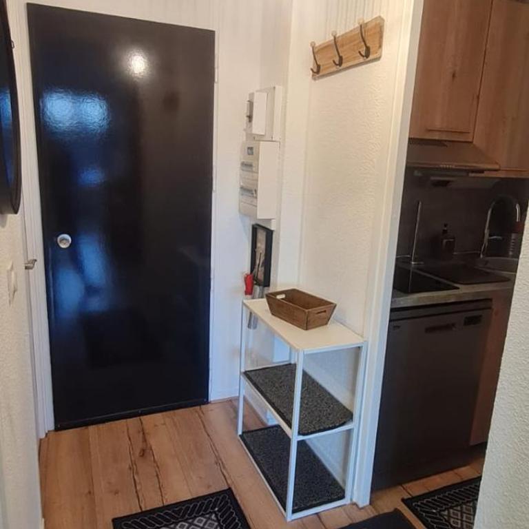 Le Flocon-Studio cabine-Balcon 4-6 Pers à 100m des pistes - Estudio Familiar - 27