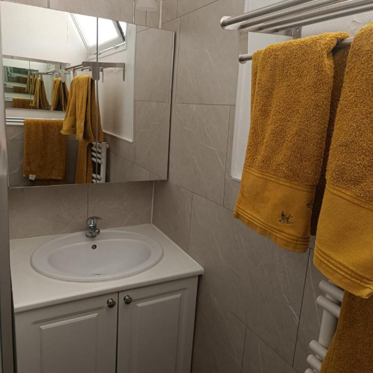Twins 2 Alpes centre station - Appartement 1 Chambre - 17