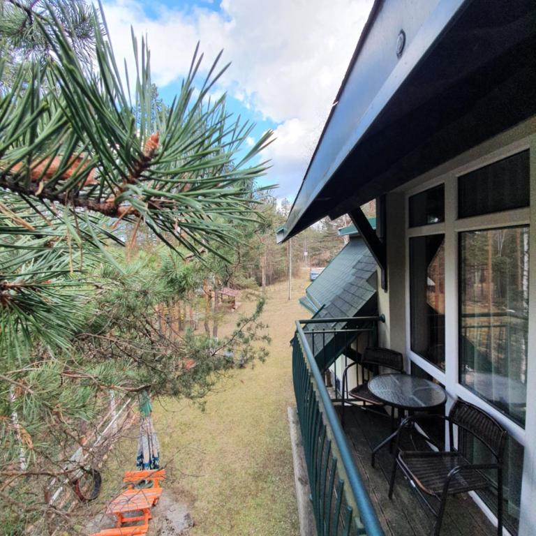 Apartmani Milutinovic - Apartman sa 1 Spavaćom Sobom - 1