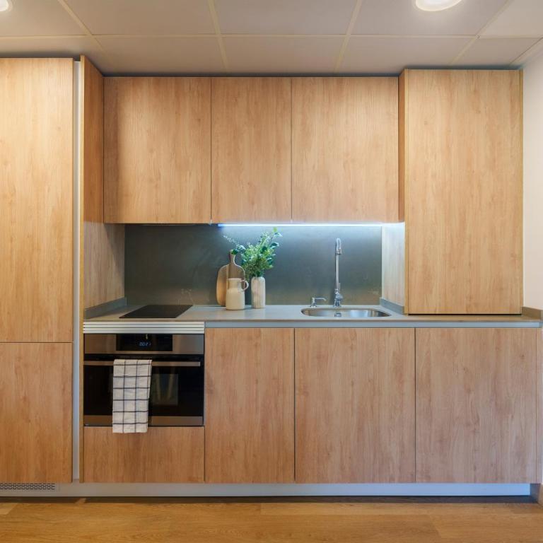 Spirit Apartamentos Atxuri - Apartamento Premium de 1 dormitorio - 7