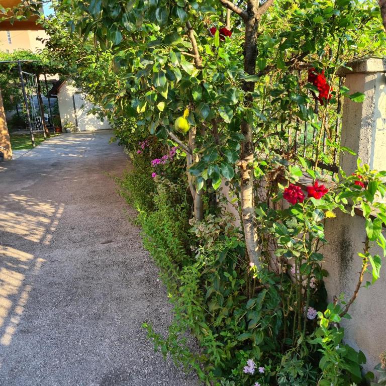 Apartman Nedim - Free Parking & Garden near Airport - Two-Bedroom Apartment - 20