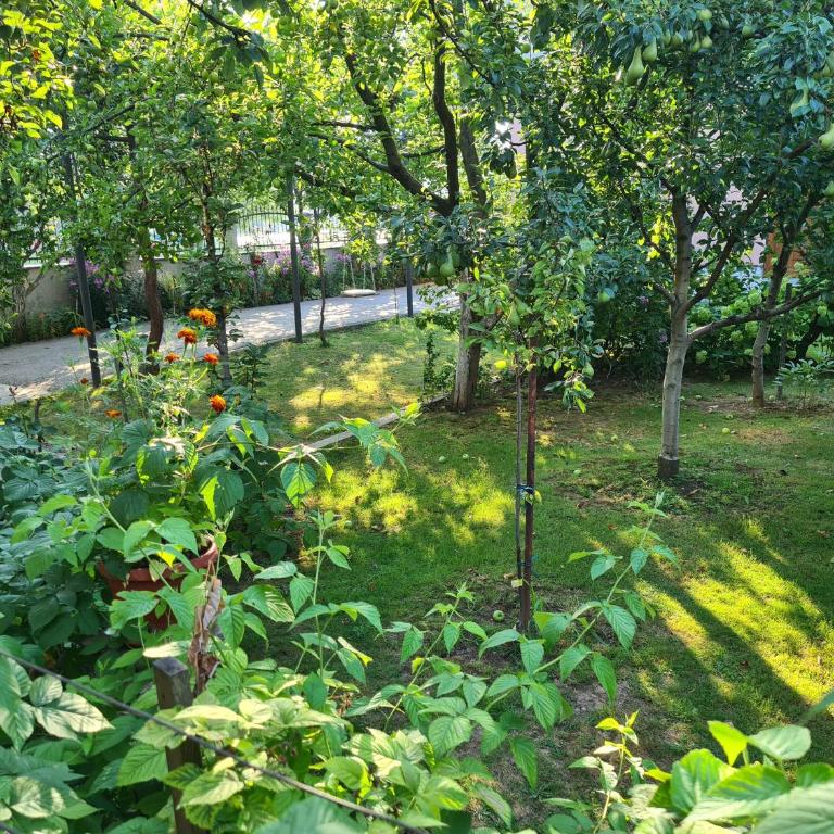Apartman Nedim - Free Parking & Garden near Airport - Two-Bedroom Apartment - 23