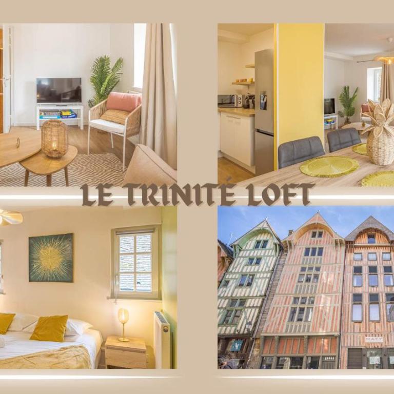 Le Trinité Loft - Appartement 1 Chambre - 2