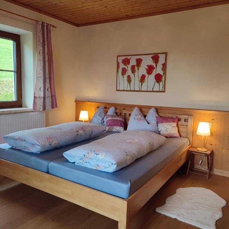 Sonnseit`n Hochmaisalm - Apartment mit 1 Schlafzimmer - 1