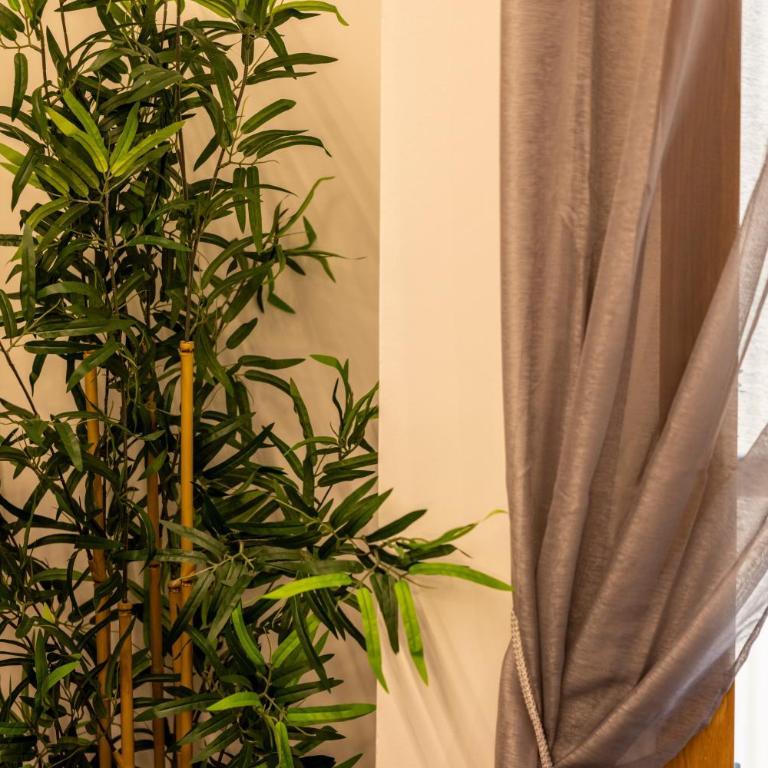 Estudio Para Grupos Pequeños en El Pas De La Casa - Céntrico - Apartamento de 1 dormitorio - 5