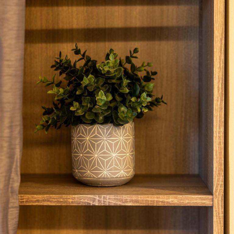 Estudio Para Grupos Pequeños en El Pas De La Casa - Céntrico - Apartamento de 1 dormitorio - 11