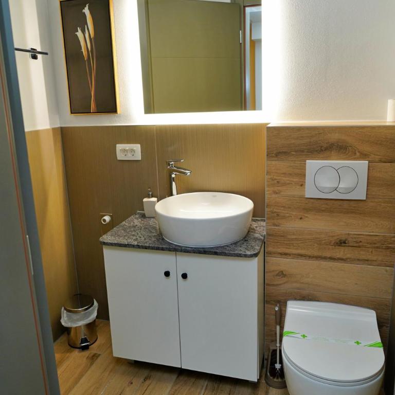 Swiss Apartmani - Economy Dvokrevetna Soba sa Zasebnim Krevetima - 4