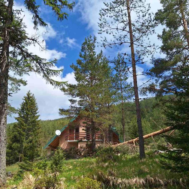 Wild Peace - Five-Bedroom House - 10