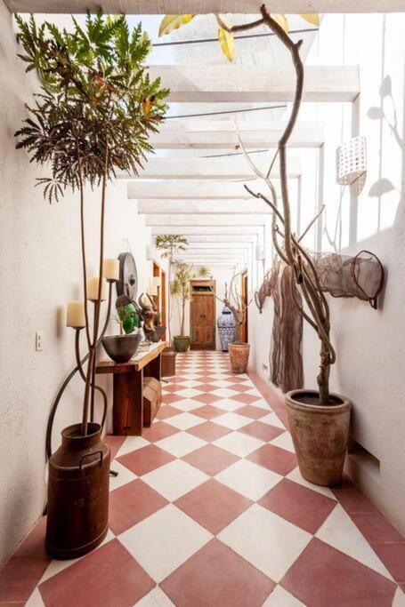 Spectacular House with Jacuzzi and Huge Garden - Casa de 4 dormitorios - 61