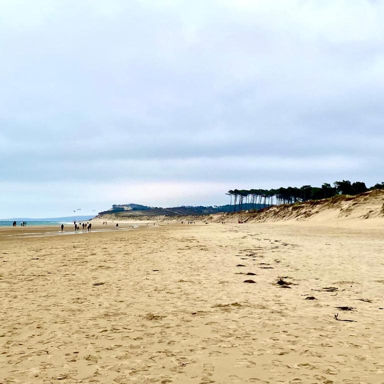 Aux pieds des plages, du port, de la piste cyclable et des commerces de proximité, un studio au dernier étage avec une vue panoramique sur le Bassin d'Arcachon, entièrement rénové, dans une résidence avec piscine - Studio with Balcony - 28