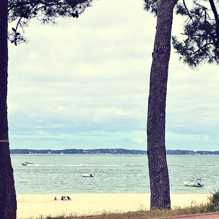 Aux pieds des plages, du port, de la piste cyclable et des commerces de proximité, un studio au dernier étage avec une vue panoramique sur le Bassin d'Arcachon, entièrement rénové, dans une résidence avec piscine - Studio with Balcony - 29