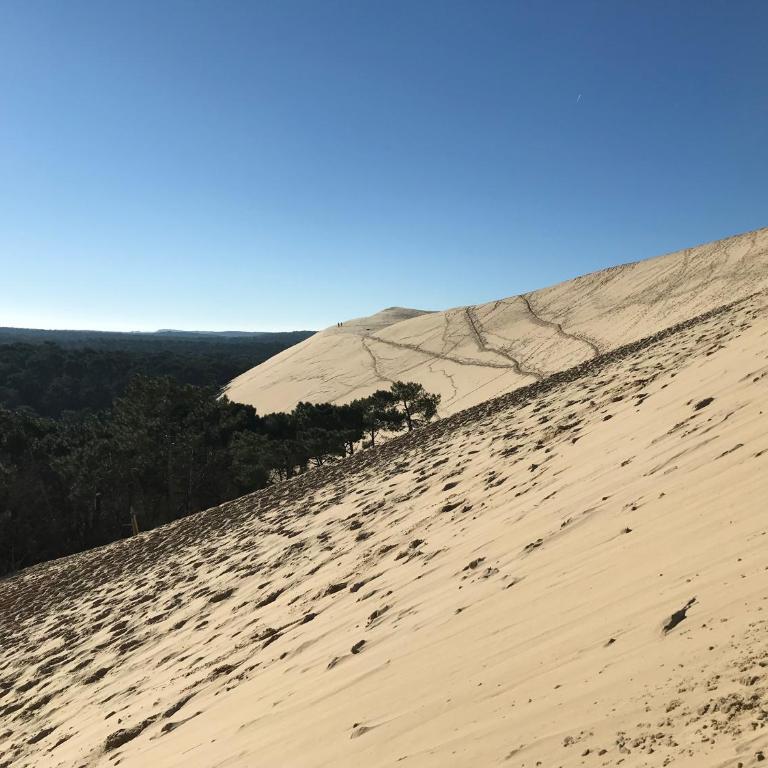 Aux pieds des plages, du port, de la piste cyclable et des commerces de proximité, un studio au dernier étage avec une vue panoramique sur le Bassin d'Arcachon, entièrement rénové, dans une résidence avec piscine - Studio with Balcony - 38