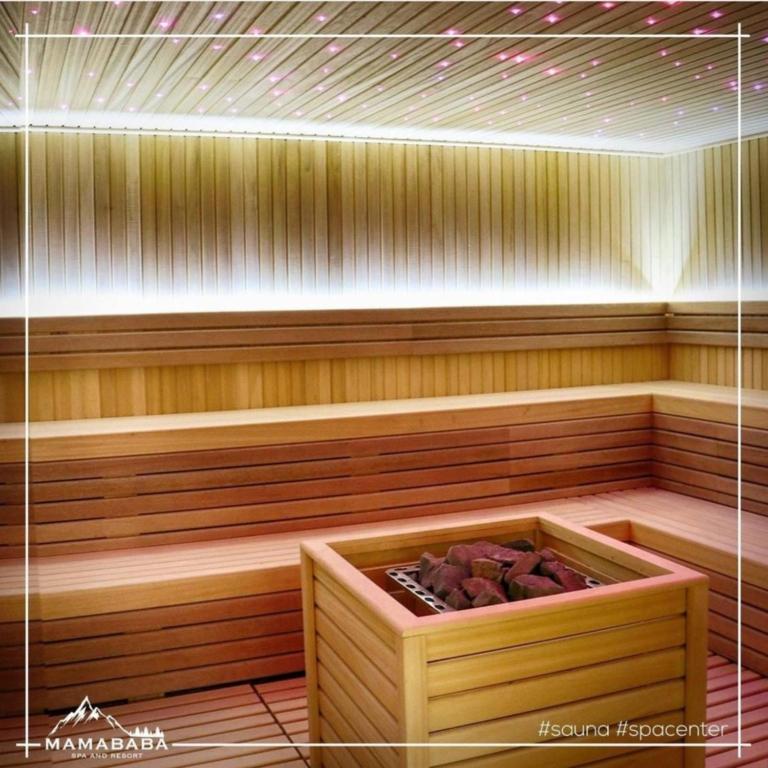 Milmari L39 Kopaonik - One-Bedroom Apartment - 26