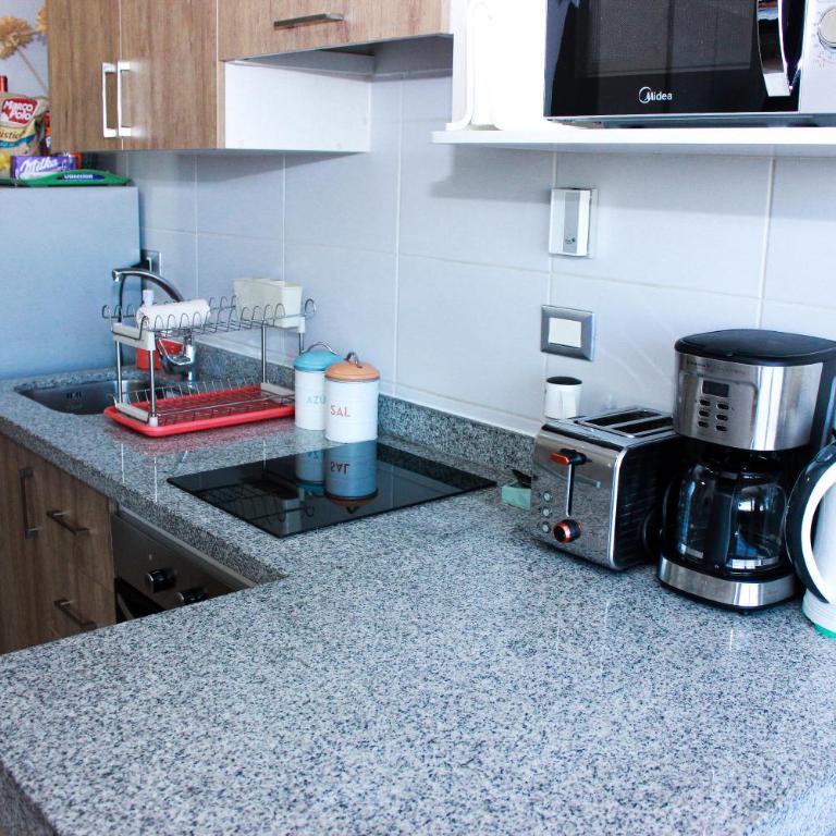 Acogedor Departamento estudio en centro de Chillán - Apartamento de 1 dormitorio - 45
